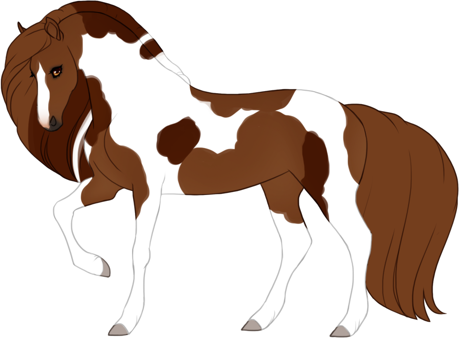 Calico tobiano with darker patches