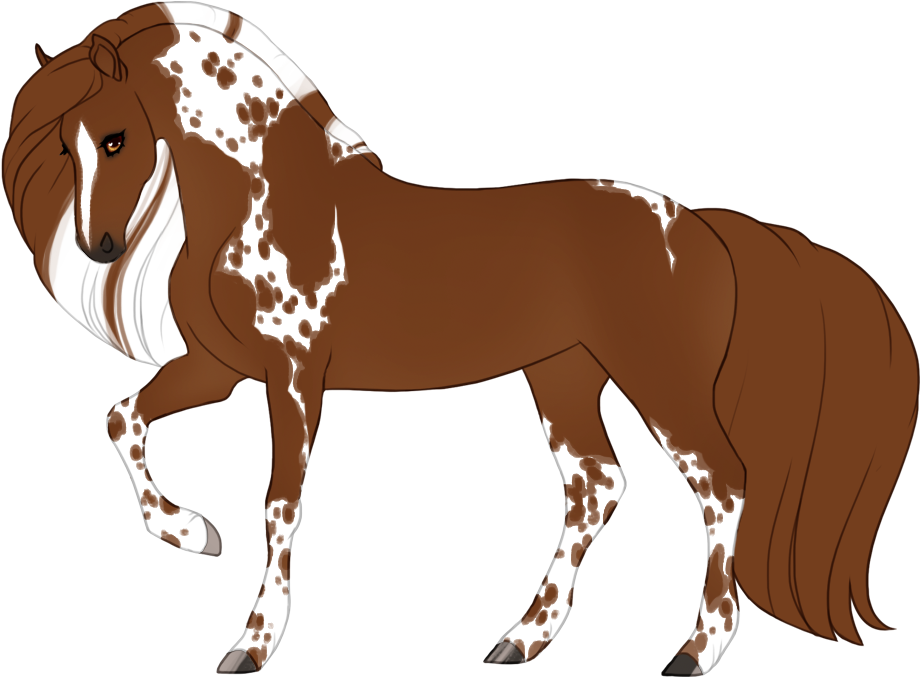 Tobiano with extensive cat tracks