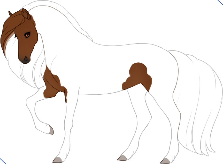 Maximal tobiano