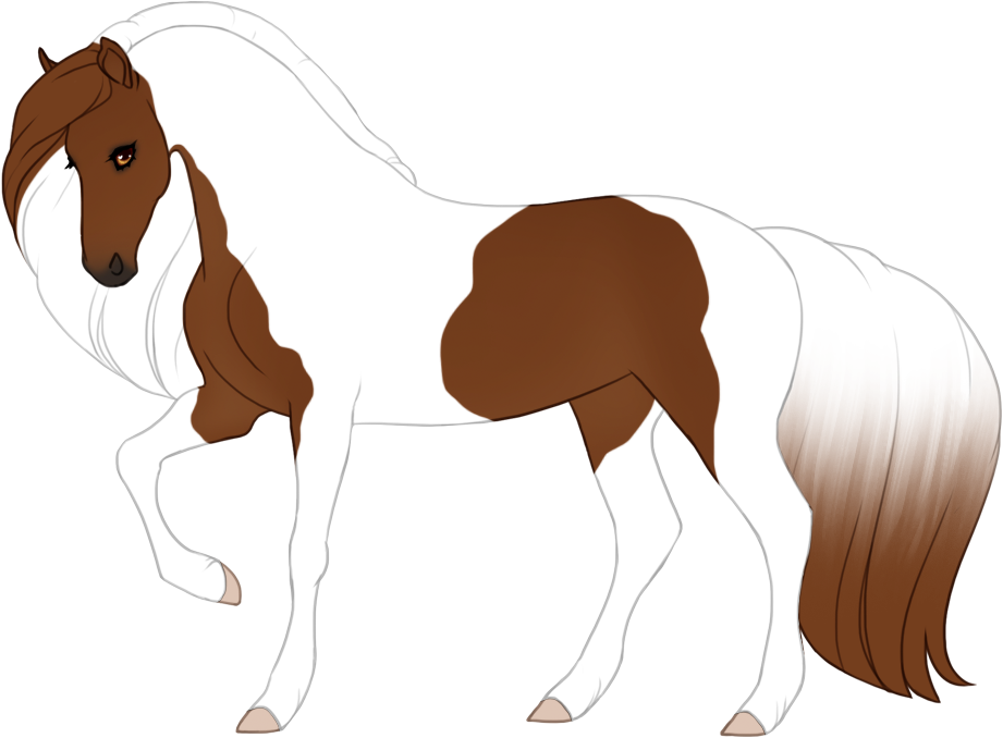 Tobiano with split tail