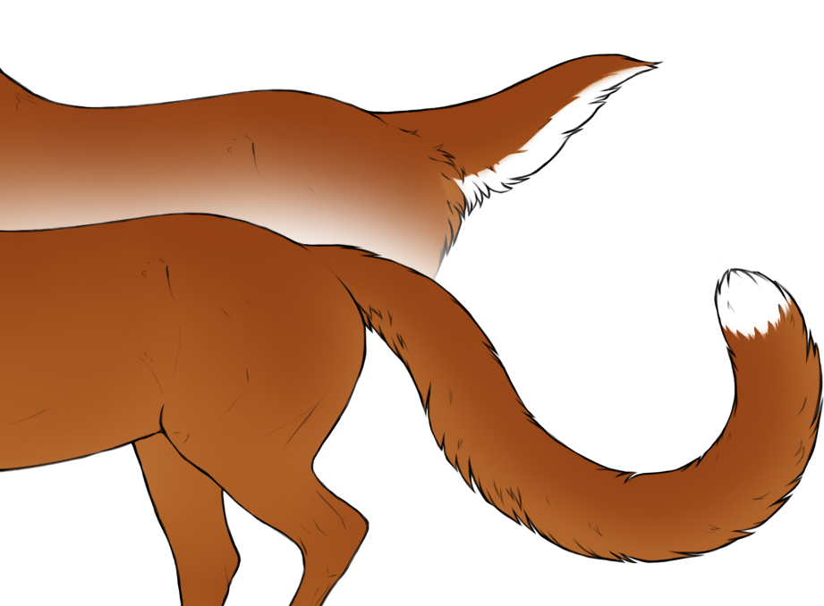 Maximal range for Fiadh and Panthera white tailtip