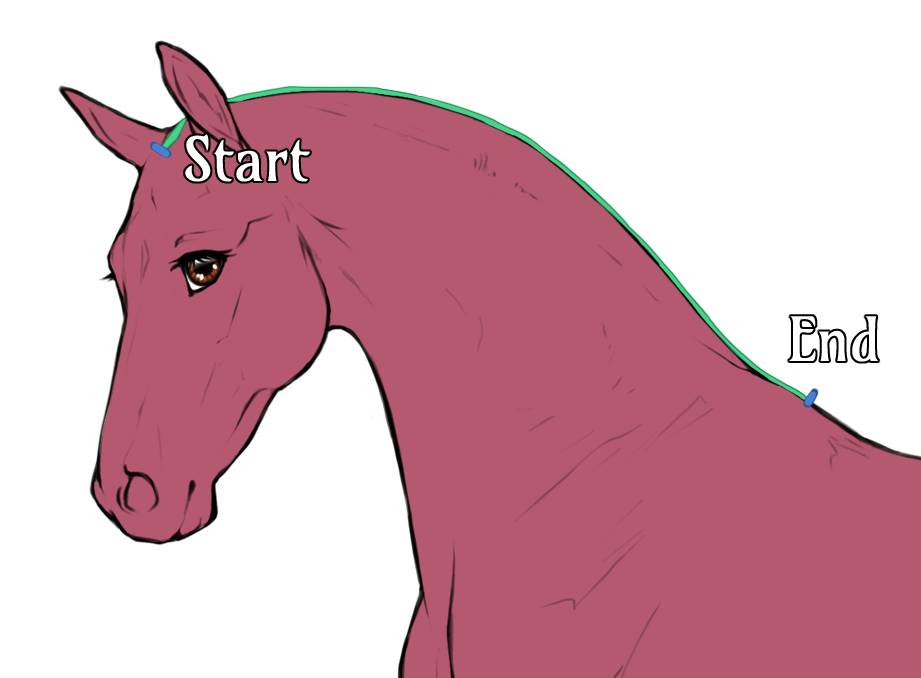 mane customization example