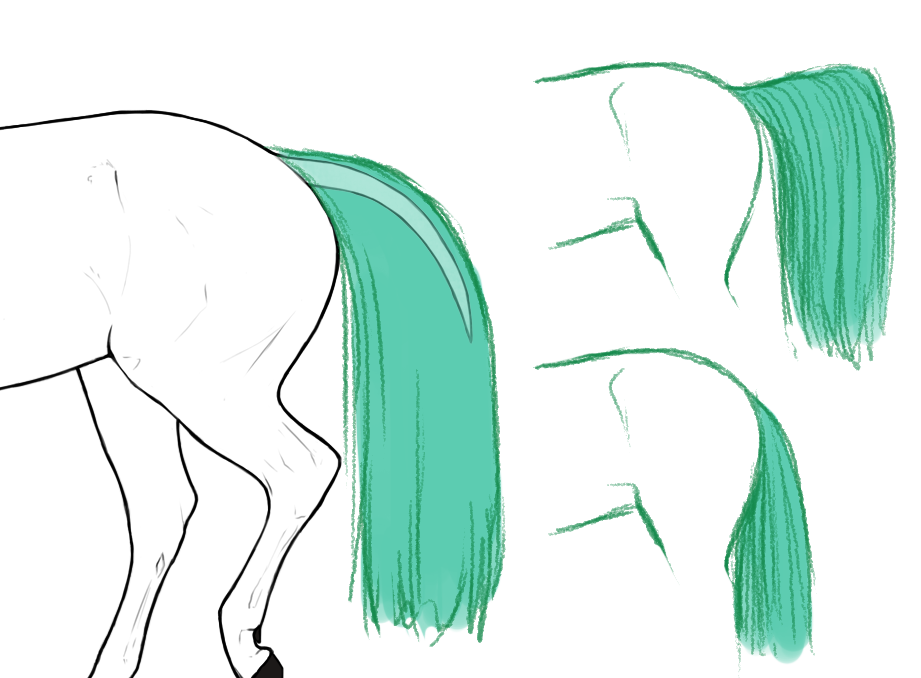 mane customization example