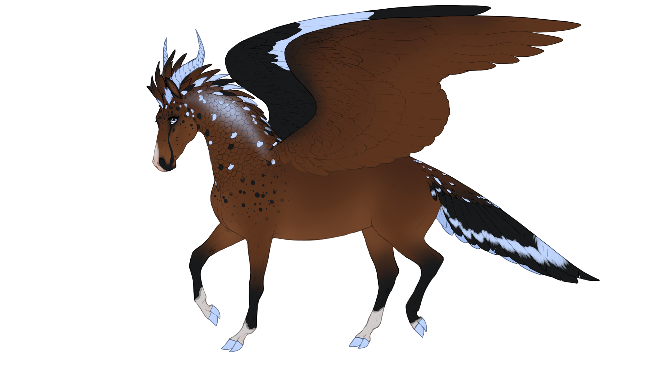 character id 1564