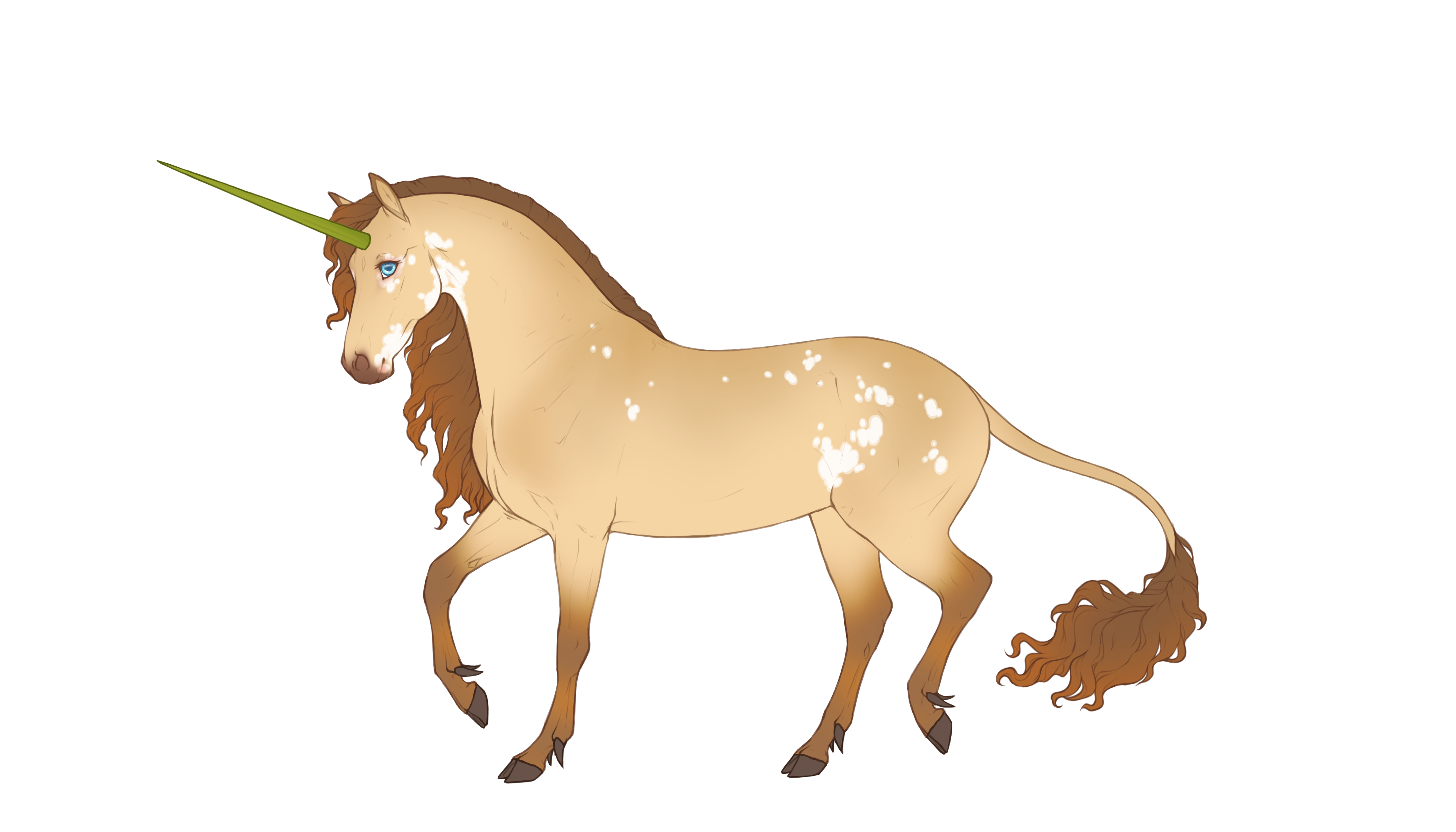 Example of a designed veilhorn