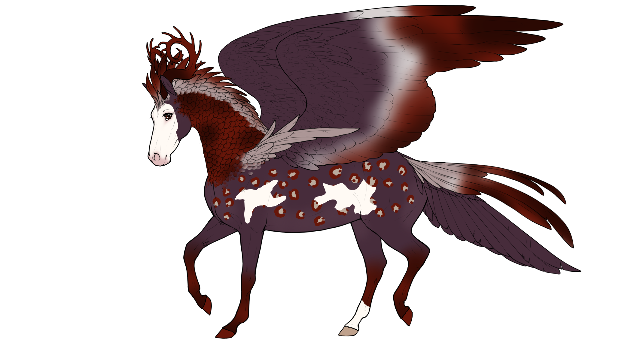 character id 904